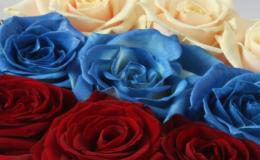 В День России создадут государственный флаг из 50 тысяч бутонов роз